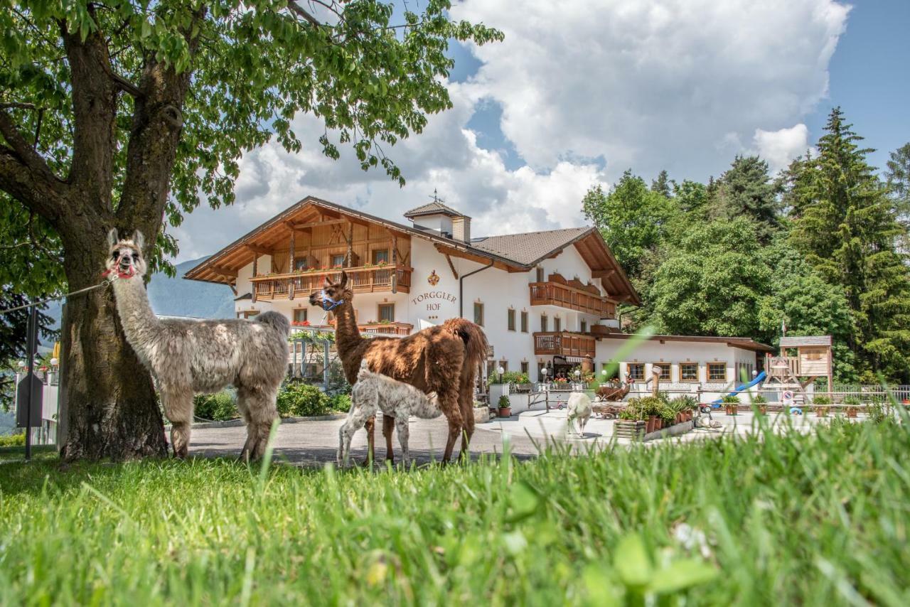 Hotel Torgglerhof Бресаноне Екстериор снимка